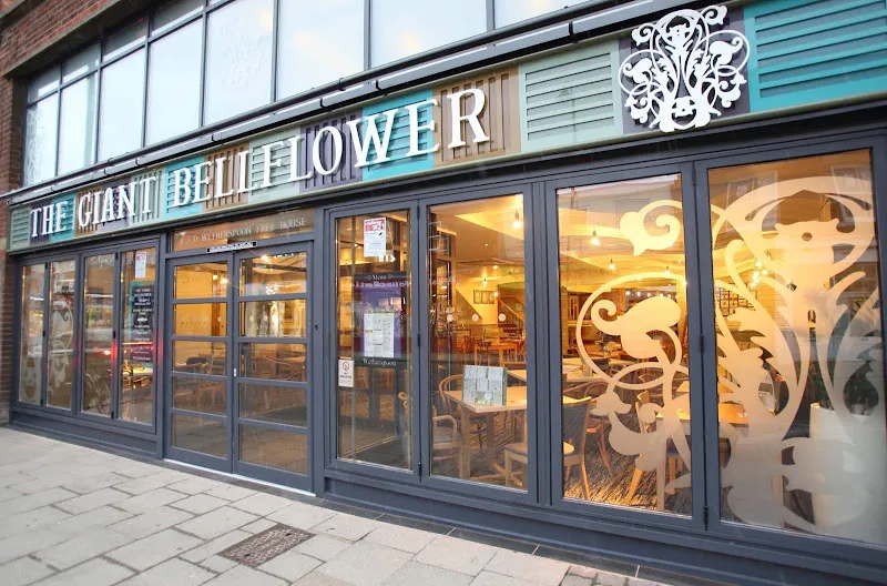 The Giant Bellflower, Selby